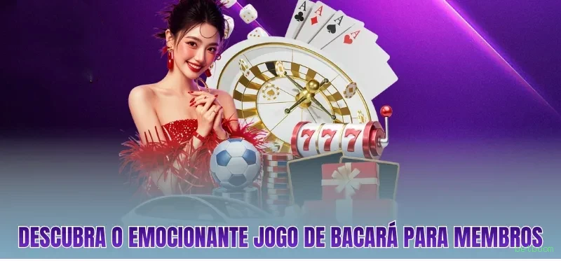 betboom